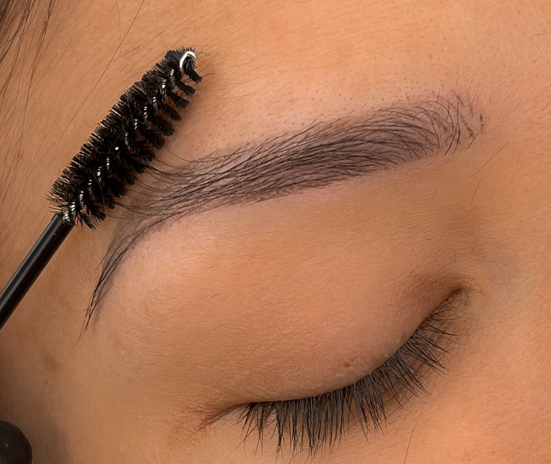 Ombré/Powder Brow